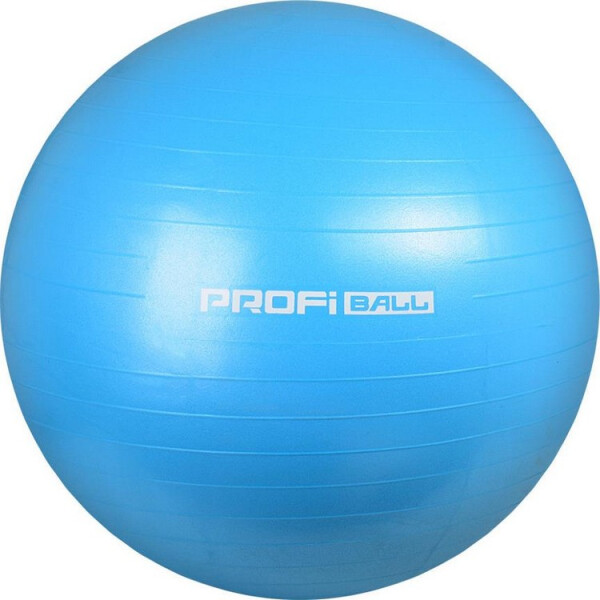 

Profi MS0275 55 см (синий)