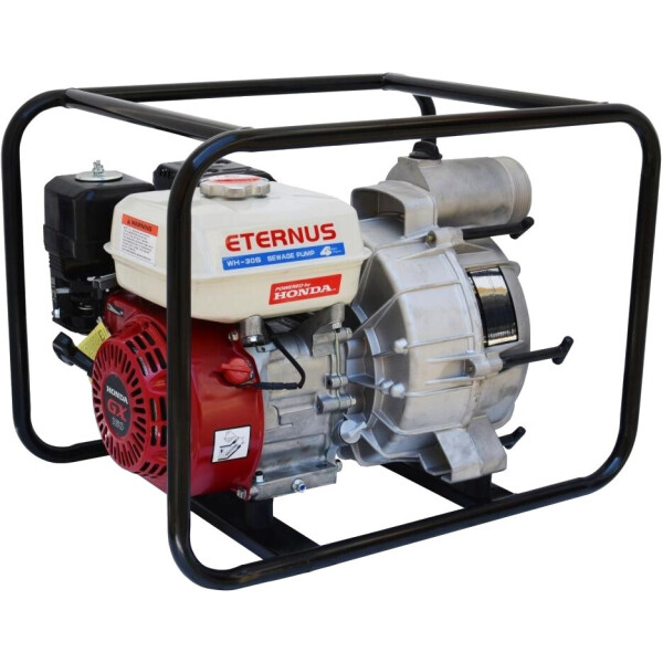 

Мотопомпа Eternus WH30S