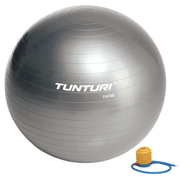 

Фитбол Tunturi Gymball 75 cm, серый 14TUSFU279