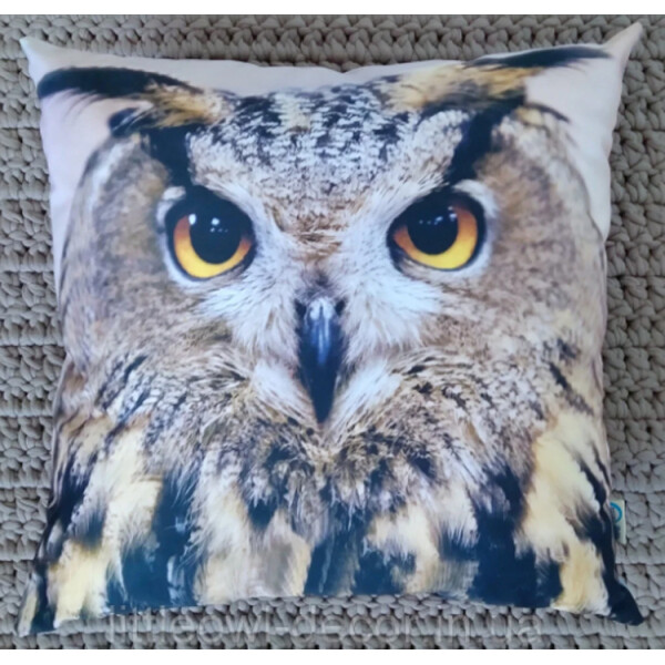 

фото Сова корич. 40*40см