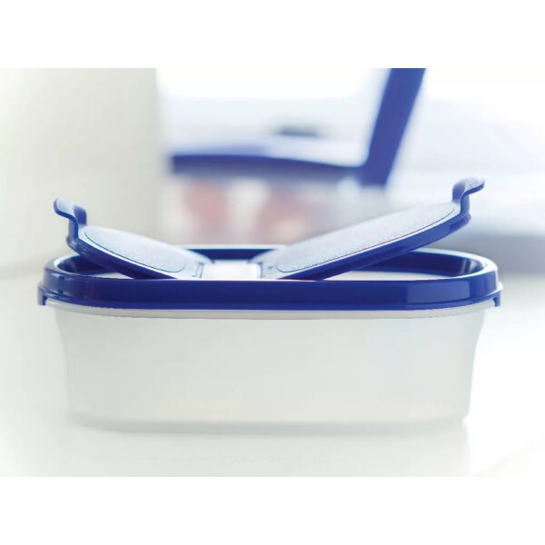 

Компактус овальный Tupperware 500 мл с крышкой