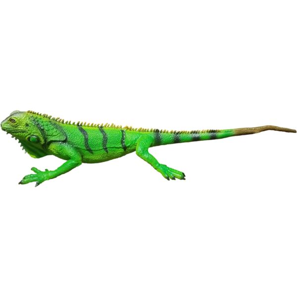 

Игуана зеленая LankaNovel, 51 cm (см) (21390)