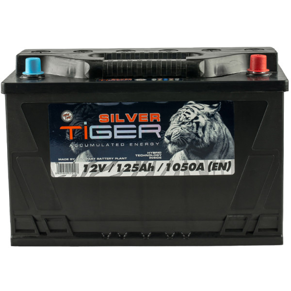 

Tiger 6СТ-125 АзЕ Silver (AFS125-S00)