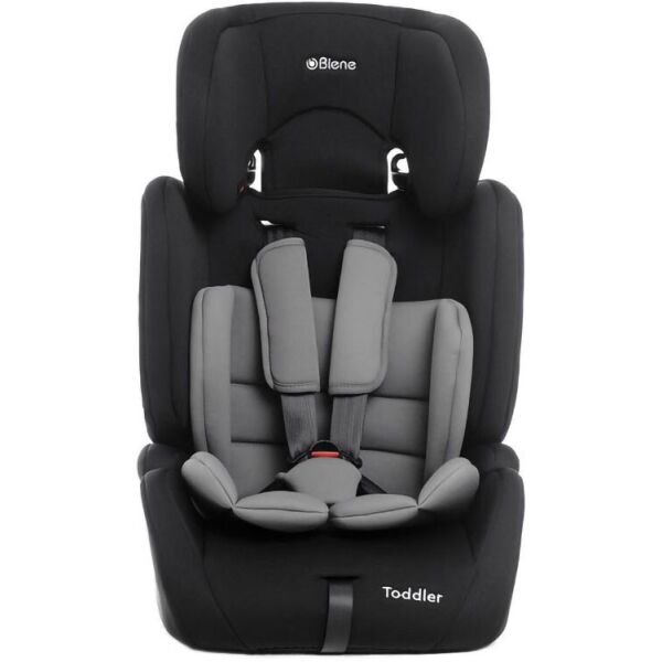 

Детское автокресло Biene Toddler Grey (BCBTGR)