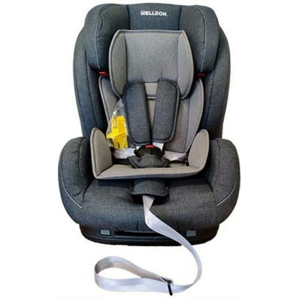 

Детское автокресло Welldon Encore Isofix (графитовый/серый) BS07-TT95-001