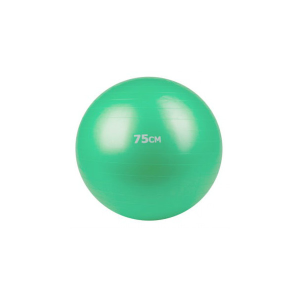 

Фитбол FitnessPort GB-75