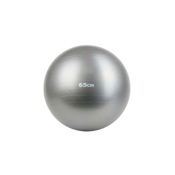 

Фитбол FitnessPort GB-65