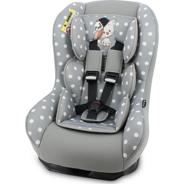 

Lorelli BETA PLUS (grey cool cat)
