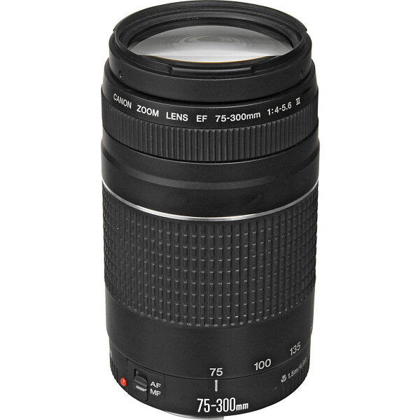 

Объектив Canon EF 75-300mm f/4.0-5.6 III