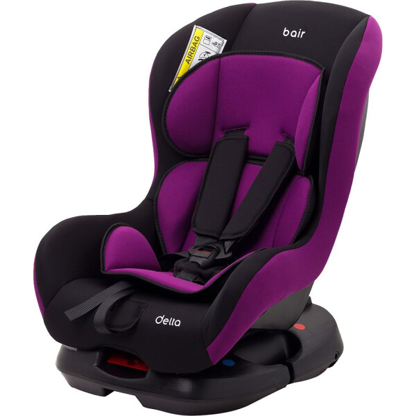 

Bair Delta 0/1 (0-18 кг) DD2418 черный - фиолетовый