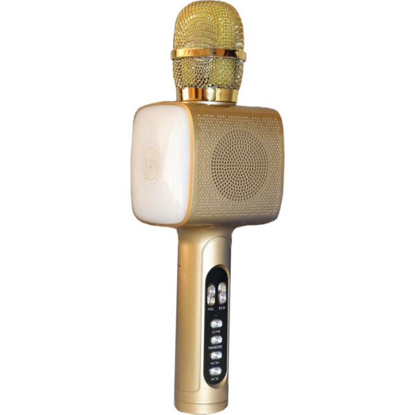 

Микрофон DM High Quality L20 Original Gold