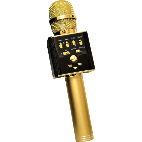 

Микрофон DM L17 Original 2х3W Gold IO