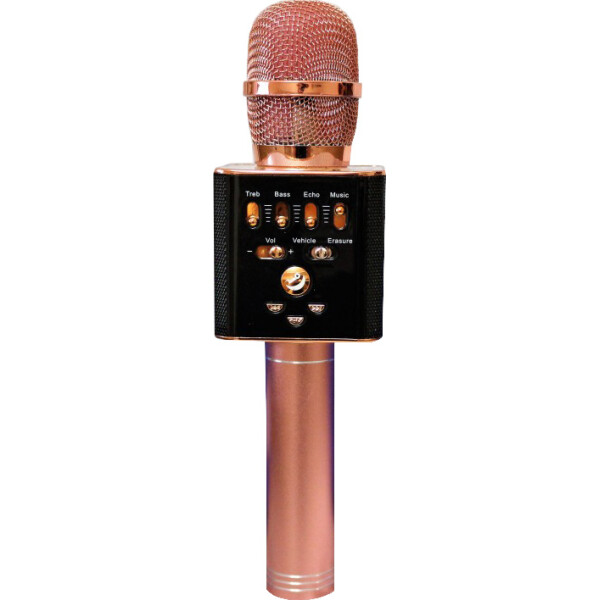 

Микрофон DM L17 Original 2х3W Rose Gold IO