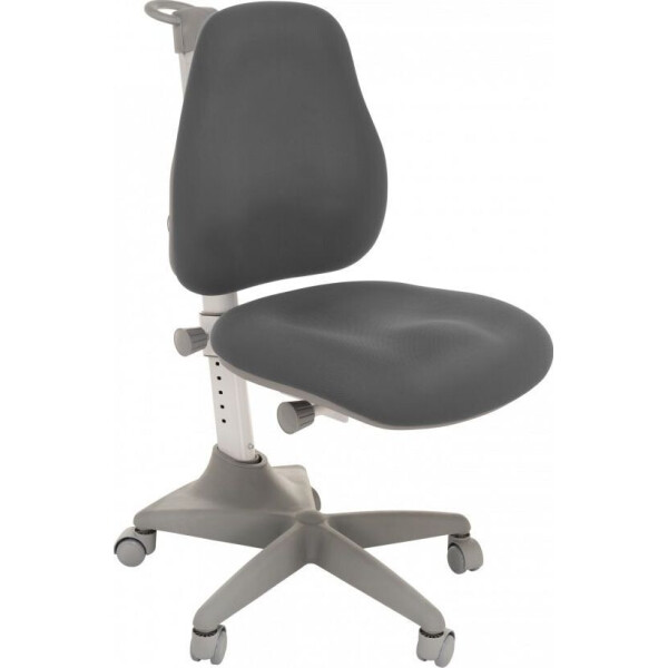

Кресло GT Racer C-1240A Orthopedic Gray