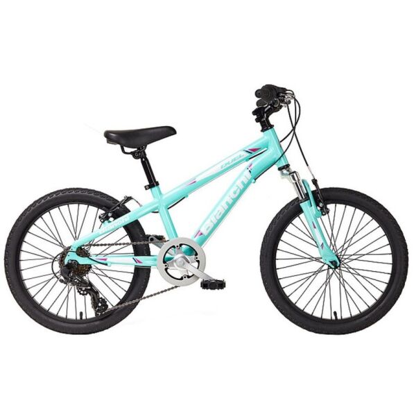 

Bianchi 20" 6s celeste YNB6KC287K