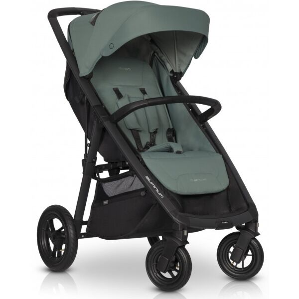 

Детская коляска прогулочная EasyGo Quantum 9023-EGQ-19, Agava