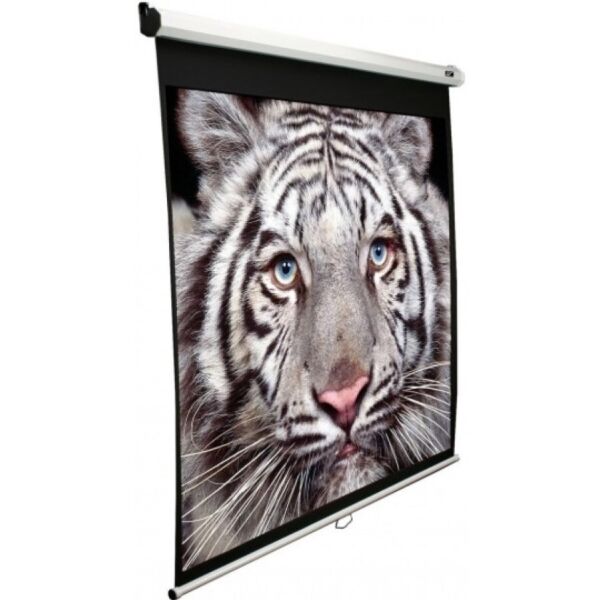 

Elite Screens M119XWS1
