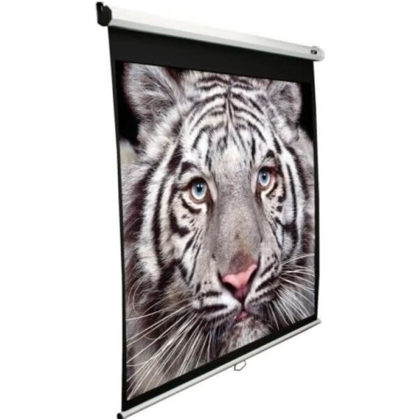 

Elite Screens M139NWX