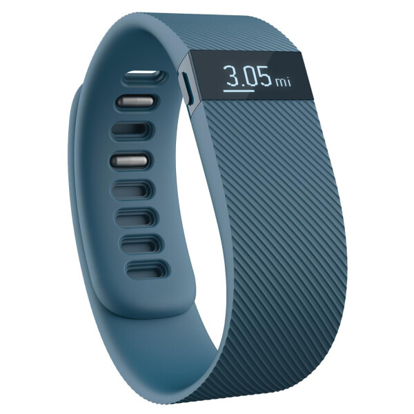 

Fitbit Charge (Small/Slate)