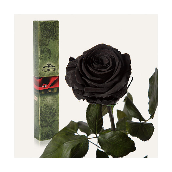 

черный бриллиант (7 карат на коротком стебле)1 шт