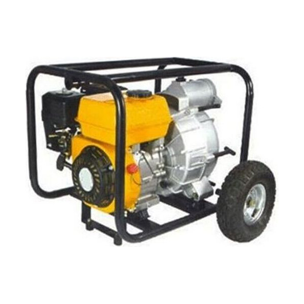 

Мотопомпа Forte FPTW30 25213