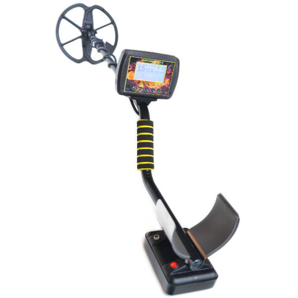 

Fortune PRO-2 (iz00154)