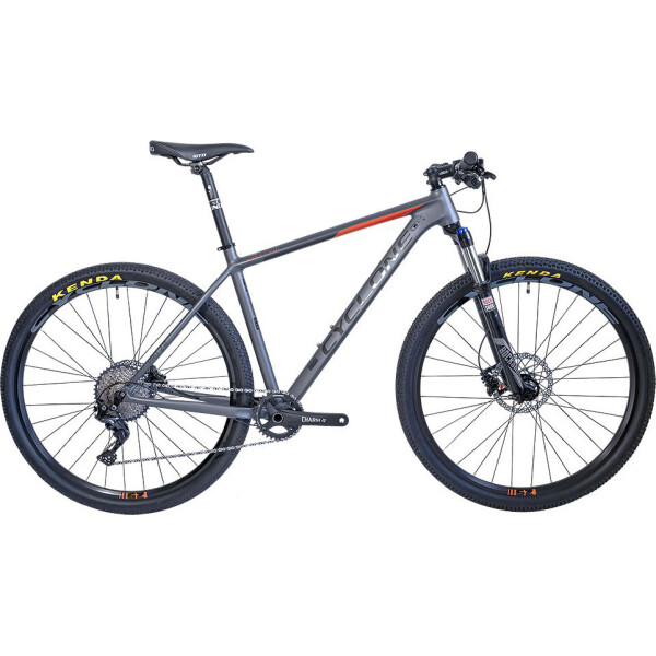 

CYCLONE 29" PRO 2.0 21" (сер)(20-045) 2020