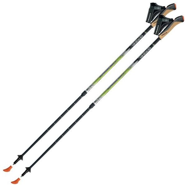 

Палки для скандинавской ходьбы Gabel Stretch Lite Avio (7008352622000)