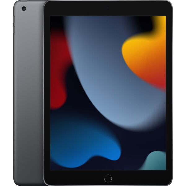 

Планшет Apple iPad 10.2" (9 Gen) 256GB Wi-Fi Space Gray 2021 (MK2N3)