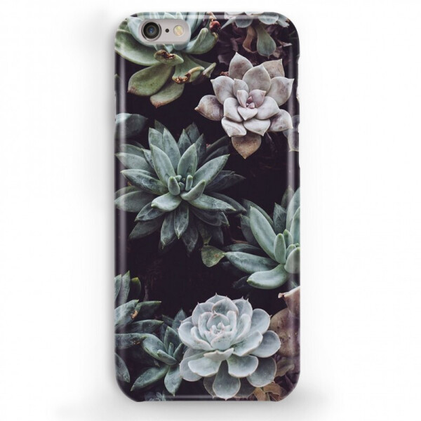 

Дизайнерский чехол "Суккуленты" для iPhone 6s (4.7'') (624089)