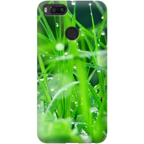 

Дизайнерский чехол "Долька арбуза" для iPhone 6 plus (5.5'') (624241)