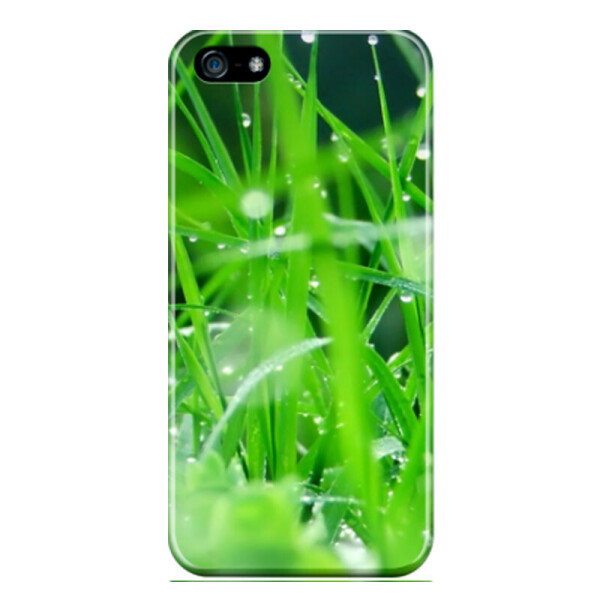 

Дизайнерский чехол "Зелень" для iPhone 5S (666455)