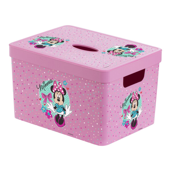

Туристическая посуда Контейнер с крышкой HEREVIN DISNEY MINNIE (6490392)
