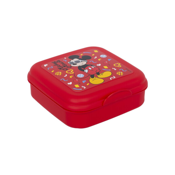 

Туристическая посуда Контейнер HEREVIN DISNEY MICKEY MOUSE 2 (6495522)