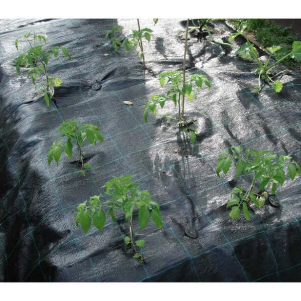 

Агроткань Agrojutex 90 (рулон 2,1 х100)