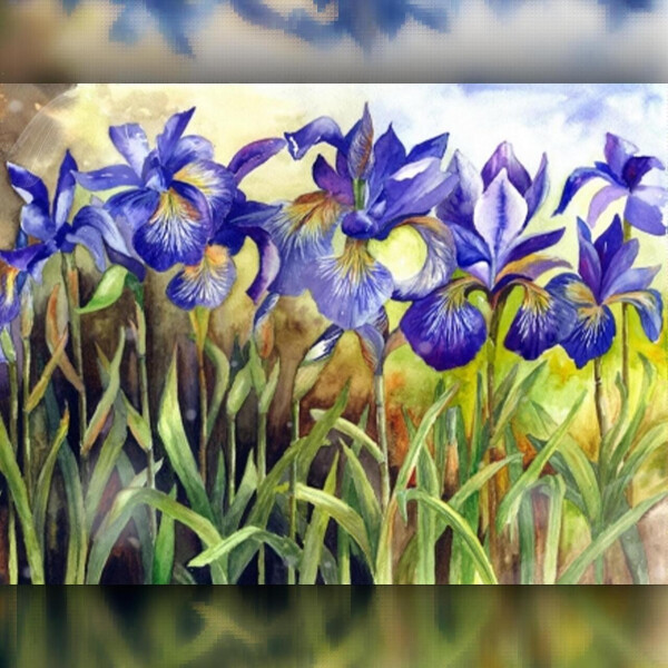 

Алмазная вышивка The Wortex Diamonds Дикие Ирисы 40x50 (TWD10011L)