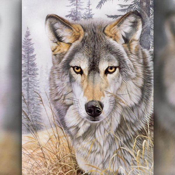 

Алмазная вышивка Волк 30x40 The Wortex Diamonds (TWD20076)