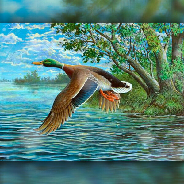 

Алмазная вышивка The Wortex Diamonds Утка 30x40 (TWD20040)