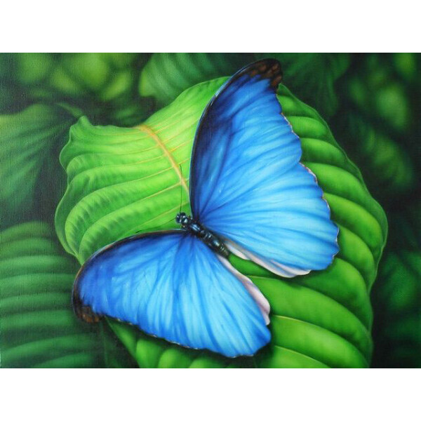 

Алмазная вышивка Синяя бабочка 181