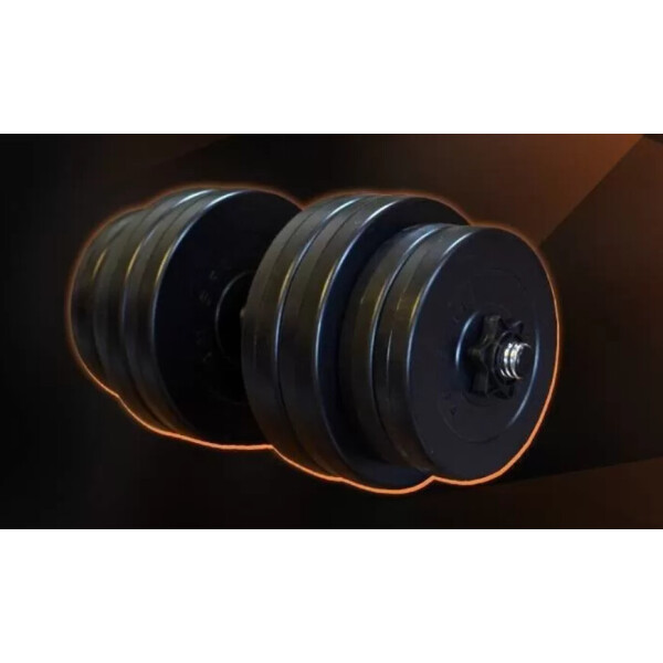

Гантель RN-30 кг с ABS покрытием 05360