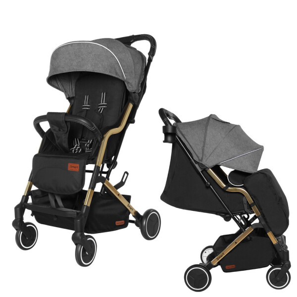 

Коляска прогулочная CARRELLO Smart CRL-5504 City Grey +дождевик