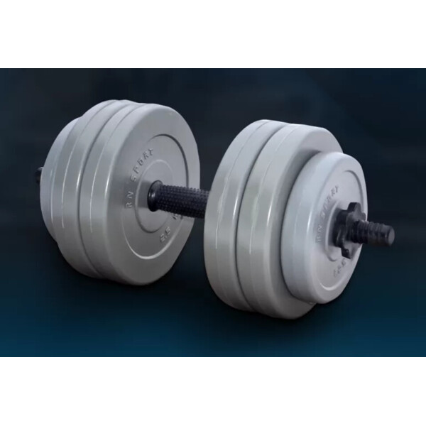 

Гантель RN-Sport (Gray) - 13 кг c ABS покрытием 05361