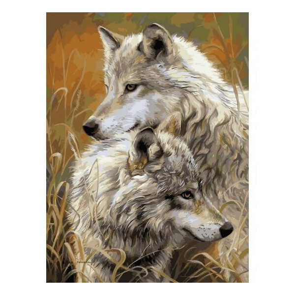 

Картина по номерам Степные волки, 40x50 см., Babylon Premium