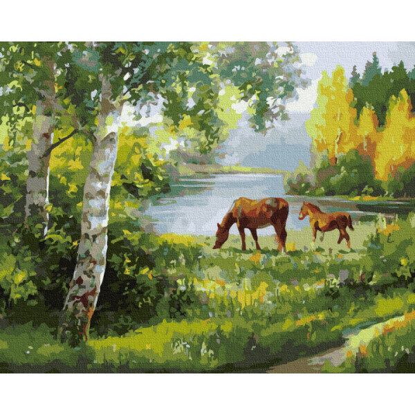 

Картина По Номерам. Rainbow Art "лошади На Лугу" Gx34062-Ra