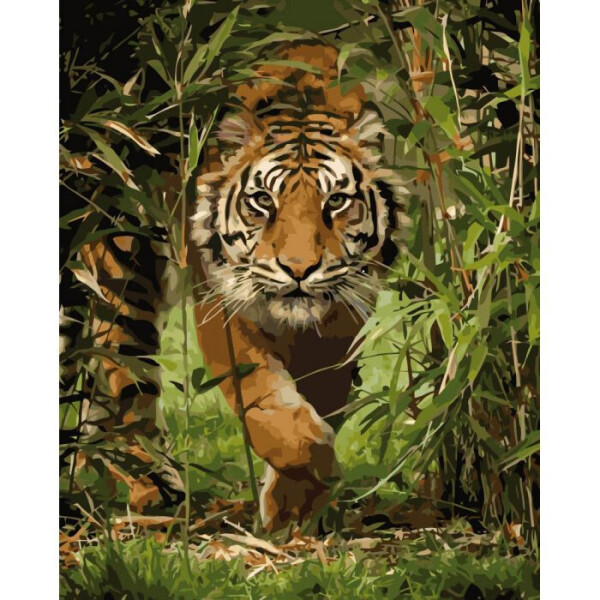 

Животные, Птицы ";король Джунглей"; Kho4043