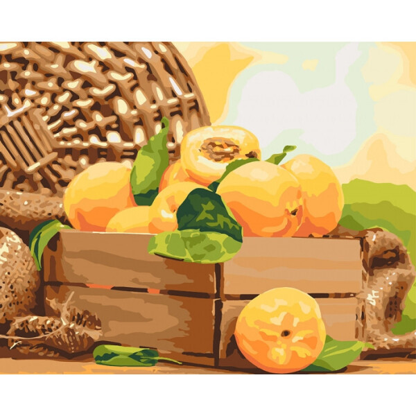 

Картина по номерам. "Золотистый абрикос" 40*50см KHO5565