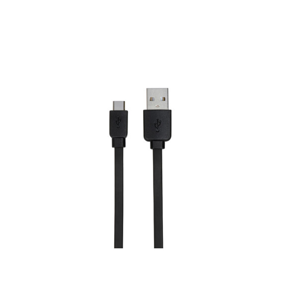 

2E Flat Single Molding Type Cable[2E-Cctpvc-1Mbl]