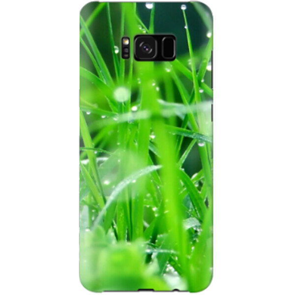 

Дизайнерский чехол Зелень для Samsung G950 Galaxy S8 (664746)