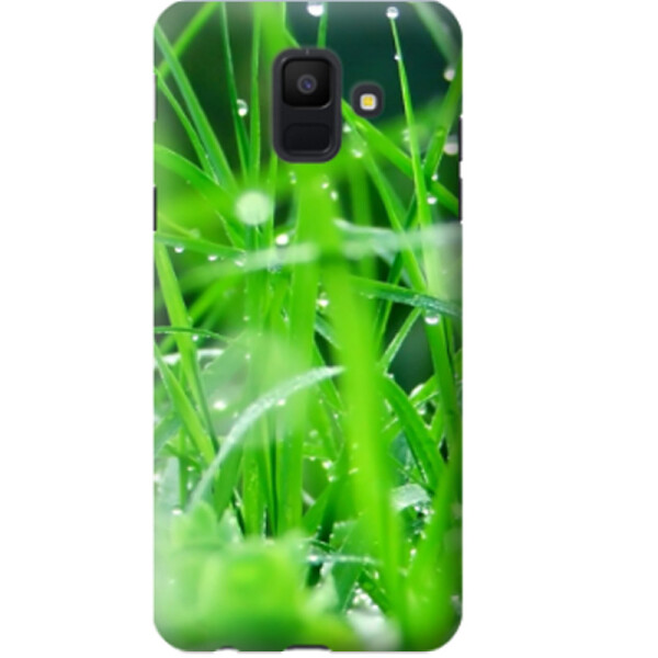 

Дизайнерский чехол Зелень для Samsung Galaxy A6 (2018) (665355)