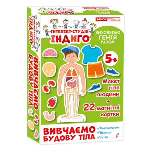 

Индиго. Изучаем Строение Тела (У) 13109081